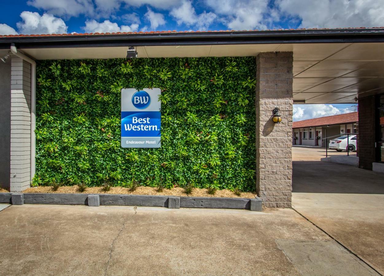 Best Western Endeavour Motel Мейтланд Екстериор снимка